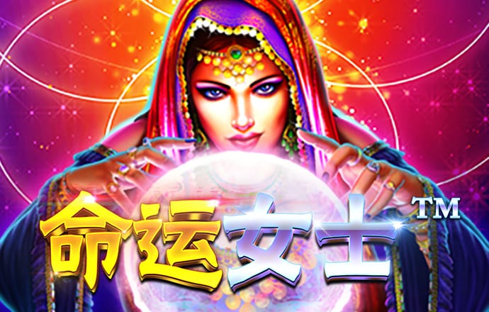 期期中app官网平台